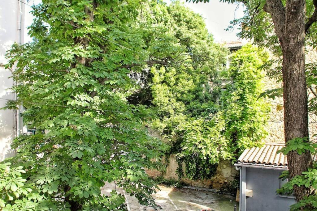 ✿ L'Escapade Occitane ✿ Appartement Montpellier Buitenkant foto